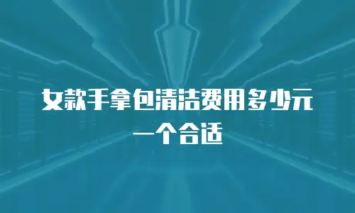 女款手拿包清洁费用多少元一个合适