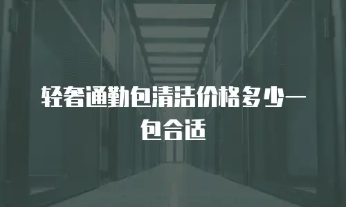 轻奢通勤包清洁价格多少一包合适