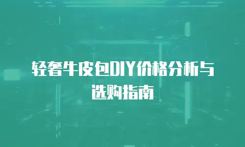 轻奢牛皮包DIY价格分析与选购指南