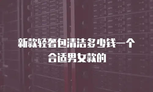 新款轻奢包清洁多少钱一个合适男女款的