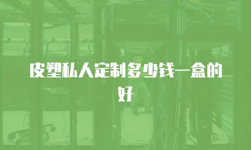 皮塑私人定制多少钱一盒的好