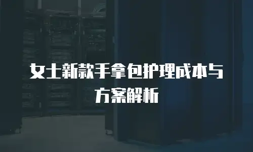 女士新款手拿包护理成本与方案解析