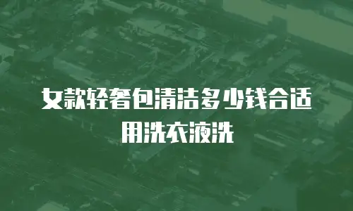 女款轻奢包清洁多少钱合适用洗衣液洗