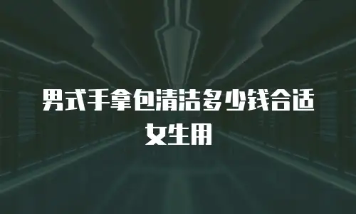 男式手拿包清洁多少钱合适女生用
