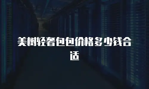美树轻奢包包价格多少钱合适
