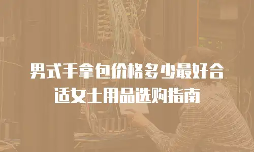 男式手拿包价格多少最好合适女士用品选购指南