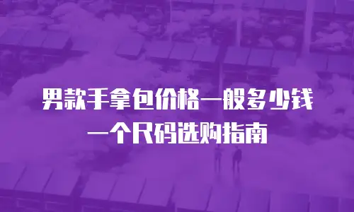 男款手拿包价格一般多少钱一个尺码选购指南