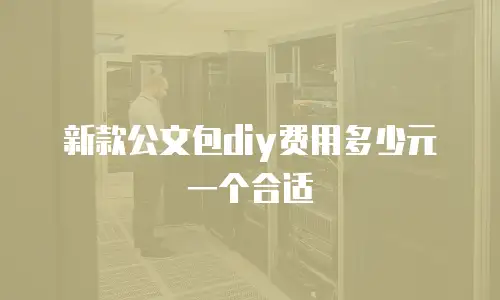 新款公文包diy费用多少元一个合适