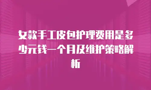 女款手工皮包护理费用是多少元钱一个月及维护策略解析