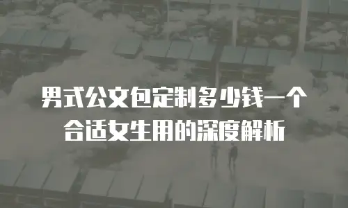 男式公文包定制多少钱一个合适女生用的深度解析