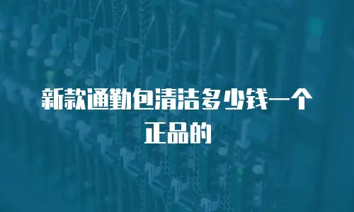 新款通勤包清洁多少钱一个正品的