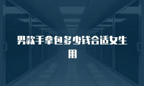 男款手拿包多少钱合适女生用