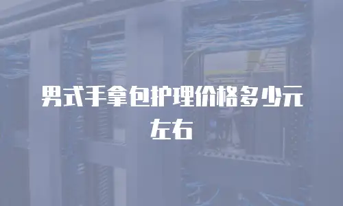 男式手拿包护理价格多少元左右