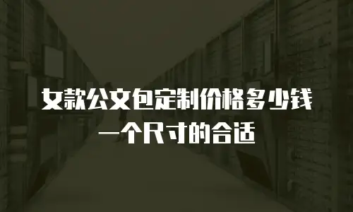女款公文包定制价格多少钱一个尺寸的合适