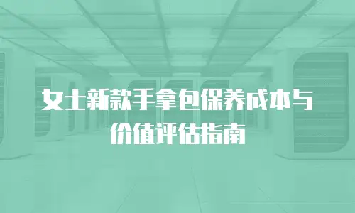 女士新款手拿包保养成本与价值评估指南