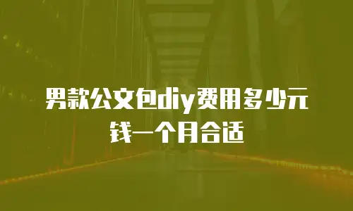 男款公文包diy费用多少元钱一个月合适