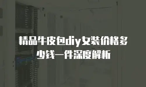 精品牛皮包diy女装价格多少钱一件深度解析