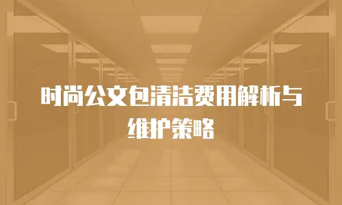 时尚公文包清洁费用解析与维护策略