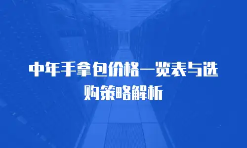中年手拿包价格一览表与选购策略解析
