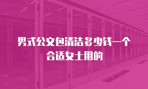 男式公文包清洁多少钱一个合适女士用的