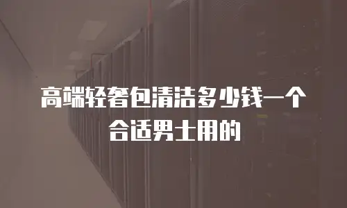 高端轻奢包清洁多少钱一个合适男士用的
