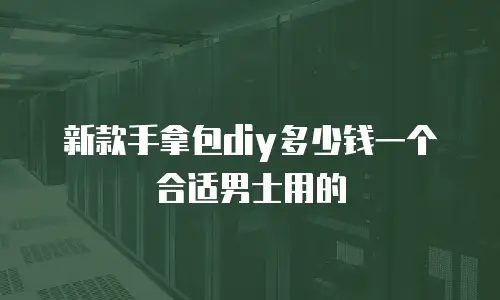 新款手拿包diy多少钱一个合适男士用的