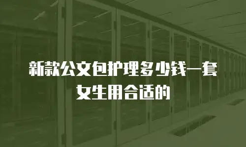 新款公文包护理多少钱一套女生用合适的