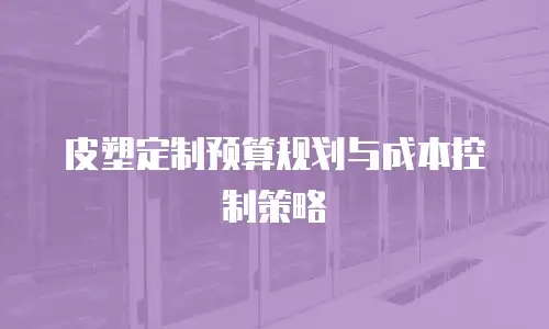 皮塑定制预算规划与成本控制策略