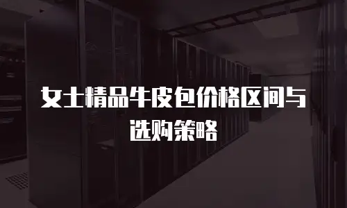 女士精品牛皮包价格区间与选购策略
