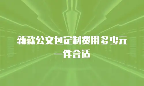 新款公文包定制费用多少元一件合适