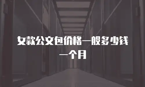 女款公文包价格一般多少钱一个月