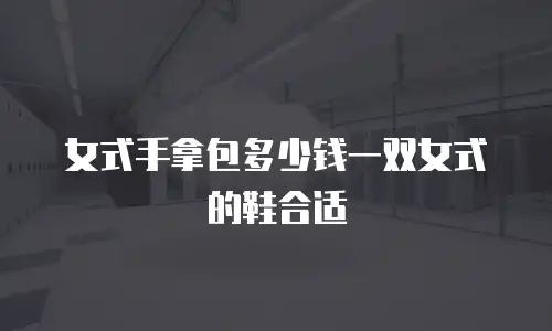 女式手拿包多少钱一双女式的鞋合适