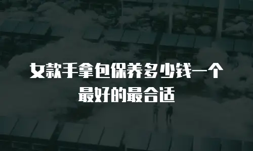 女款手拿包保养多少钱一个最好的最合适