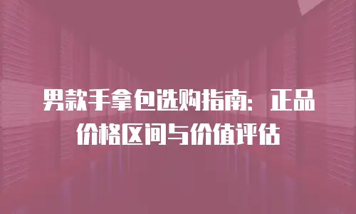 男款手拿包选购指南：正品价格区间与价值评估