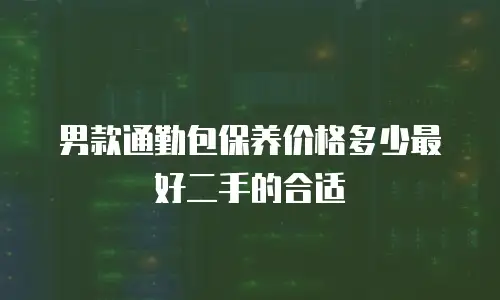 男款通勤包保养价格多少最好二手的合适