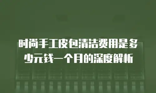 时尚手工皮包清洁费用是多少元钱一个月的深度解析