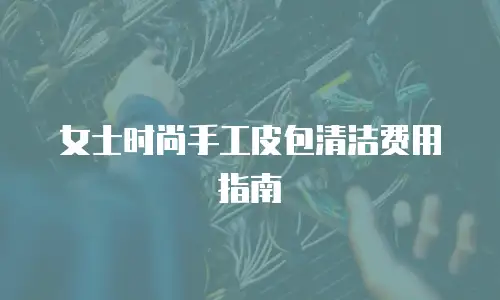 女士时尚手工皮包清洁费用指南