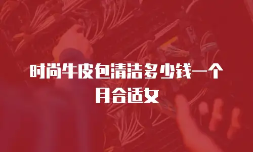 时尚牛皮包清洁多少钱一个月合适女