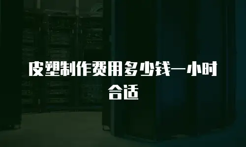 皮塑制作费用多少钱一小时合适