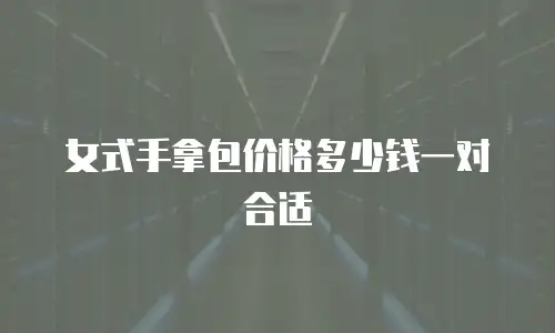 女式手拿包价格多少钱一对合适