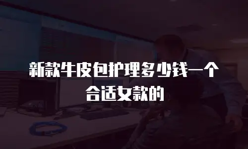 新款牛皮包护理多少钱一个合适女款的