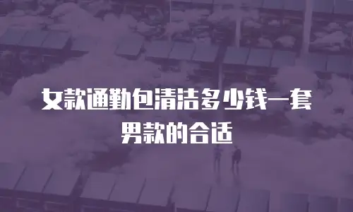 女款通勤包清洁多少钱一套男款的合适