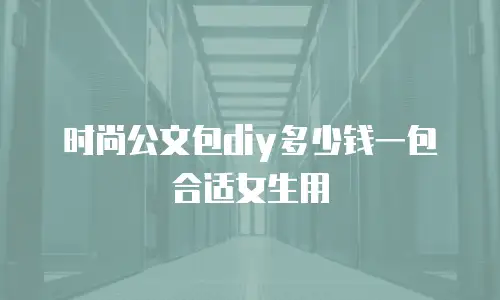 时尚公文包diy多少钱一包合适女生用