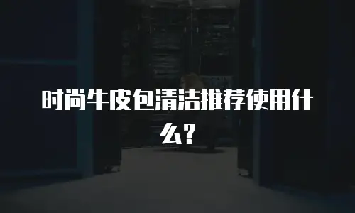 时尚牛皮包清洁推荐使用什么？