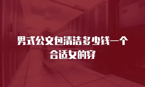 男式公文包清洁多少钱一个合适女的穿