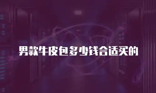 男款牛皮包多少钱合适买的