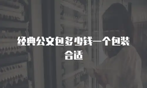 经典公文包多少钱一个包装合适