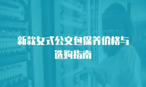 新款女式公文包保养价格与选购指南