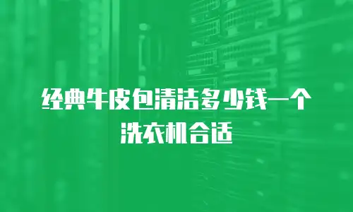 经典牛皮包清洁多少钱一个洗衣机合适