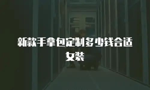 新款手拿包定制多少钱合适女装